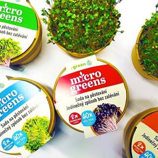 AUR Microgreens - kúzelná záhradka,  mikro bylinky - 2x semienka reďkovka