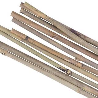 Strend Pro Tyč Garden KBT 1200/12-14 mm,  bal. 10 ks,  bambus,  oporná k rastlinám